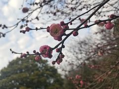 -南京珍珠泉风景区