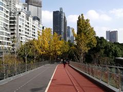 -北外滩滨江绿地