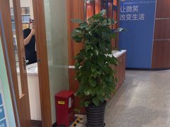 -茂菊口腔连锁(浦东南路店)