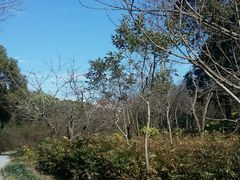 -新江湾城公园