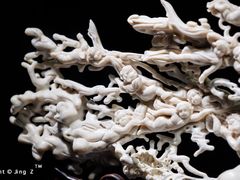 -绮丽珊瑚(台北101旗舰门市店)