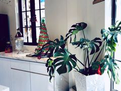 -Fridi Patisserie Cafe