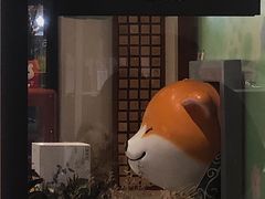 -代数学家algebraist(诚品店)