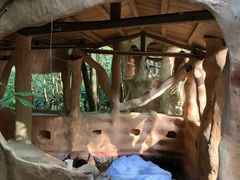 -天门沟九州驿站树上汤泉