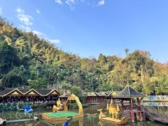 -西双版纳原始森林公园