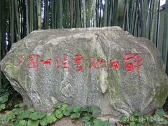 -上海醉白池公园