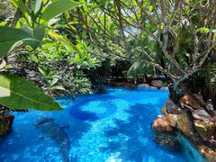 -Waterfall瀑布湾优健源(华侨城店)