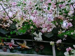 -深圳国际园林花卉博览园