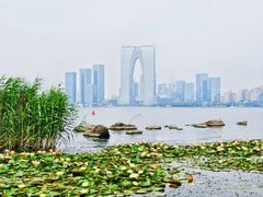 -金鸡湖景区