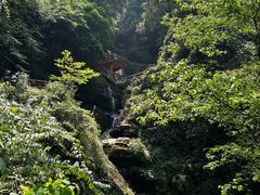 -碧峰峡风景区