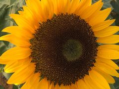 -艾溪湖湿地公园