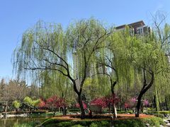-木塔寺遗址生态公园