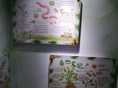 -上海昆虫博物馆