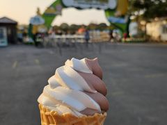 -苏州太湖西山岛开心农场