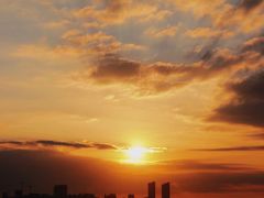 -西海岸生态观光园