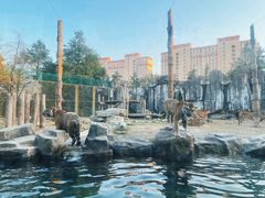 -上海野生动物园
