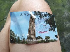 -上海佘山国家森林公园天马山园