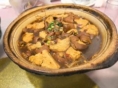 臭大元烧肥肠-壶园美食·淮扬菜(东圈门店)