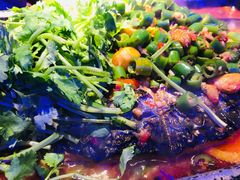 湄公鱼-焰鱼(昌建广场店)