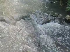 -羊山湖公园
