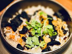 黑松露海胆饭-伊藤ITO(侨福芳草地购物中心店)