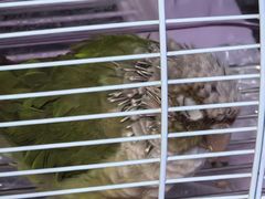 -博特宠物医院24h犬猫全科.骨科·异宠