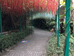 -嘉和K6温泉微度假