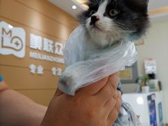 -美联众合24小时·皮肤科·外科·全科诊疗中心(华苑分院)
