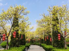 -大槐树寻根祭祖园