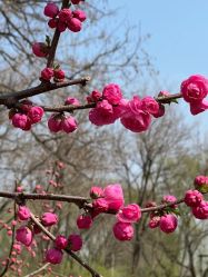 -Oasis Beauty水磨坊科技美肤中心