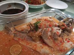 -佬肥猫(国华广场店)