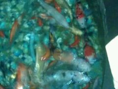 android_upload_pic-鸿瑞興面馆(梅岭店)