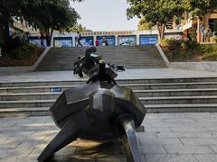 -广东惠东海龟国家级自然保护区