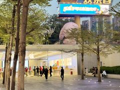 -Apple零售店(深圳益田假日广场店)