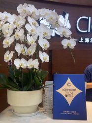 -洁铭新加坡医美