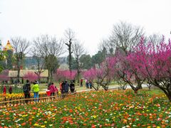 -秀丽东方