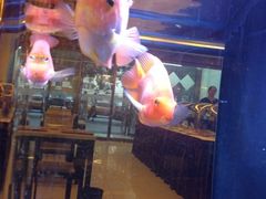 iphone_upload_pic-楼兰印象(朝外店)