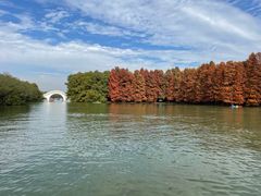 -上海海湾国家森林公园