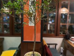 -菩提书坊(侨福大厦店)