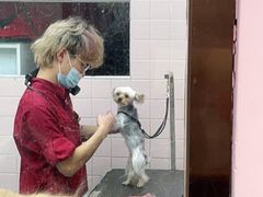 -FAELING PETS美天灵宠物(富力广场店)
