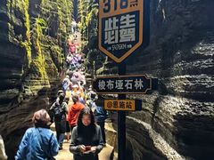 -梭布垭石林景区