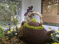 -杭州植物园