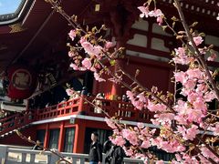 -浅草寺