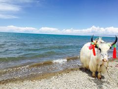 -青海湖国家重点风景名胜区