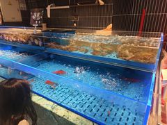 -海底捞火锅(长宁路龙之梦店)