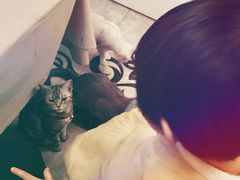 -有猫儿腻咖啡厅.猫咖