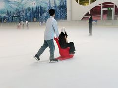 -世界之窗阿尔卑斯冰雪世界