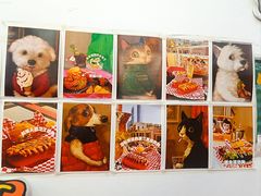 -Eckl’s爱氏热狗(猫街店)