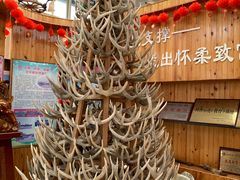 -北京鹿世界主题园