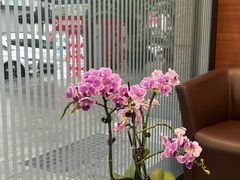 -瑞泰口腔(龙湖门诊)